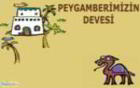 Deve Kontrol